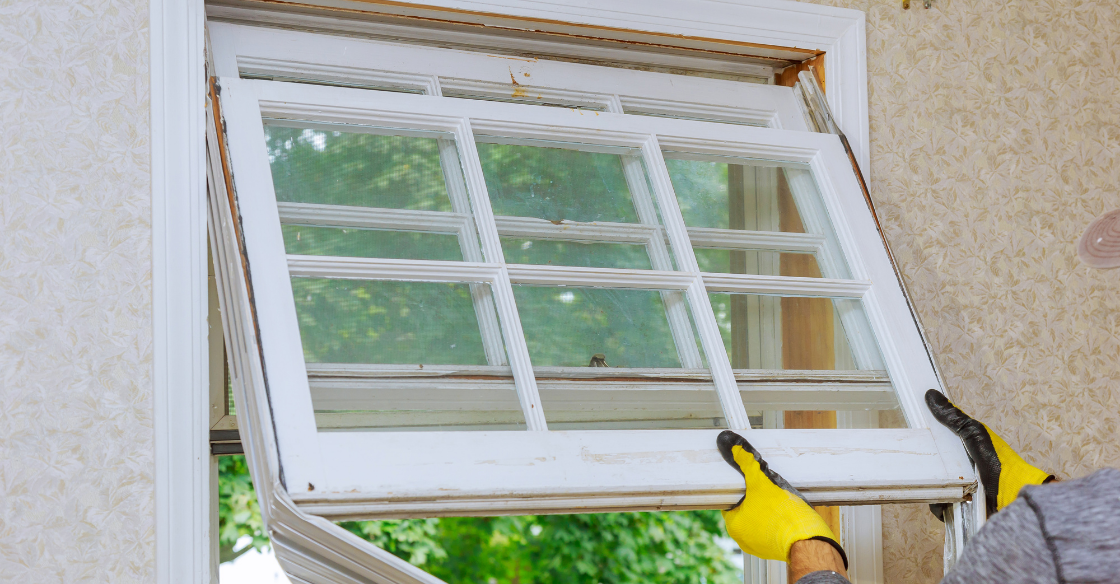 Replacing old windows 