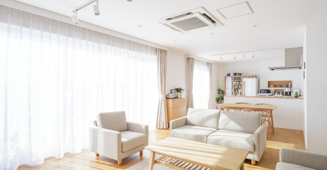 apartment with lots of natural light