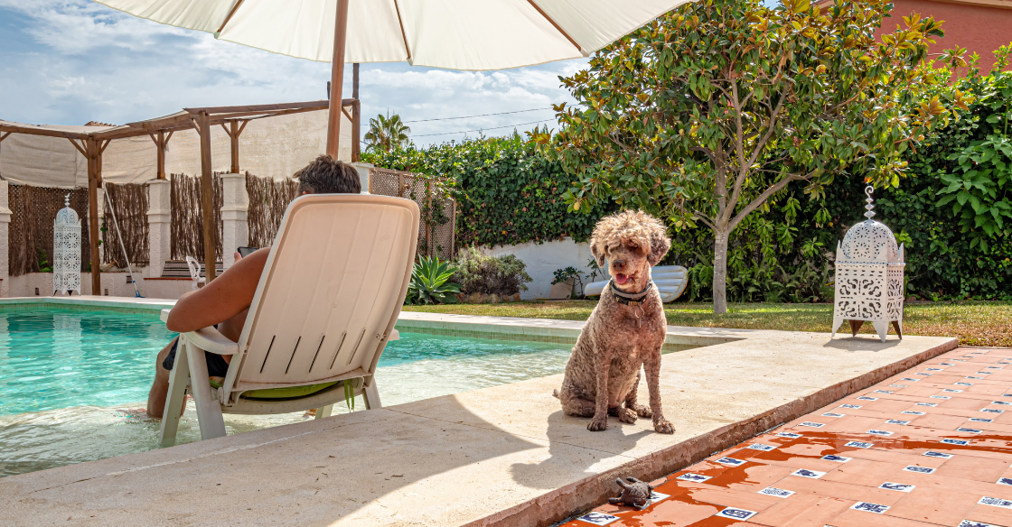 Airbnb guest sitting by the pool with his dog