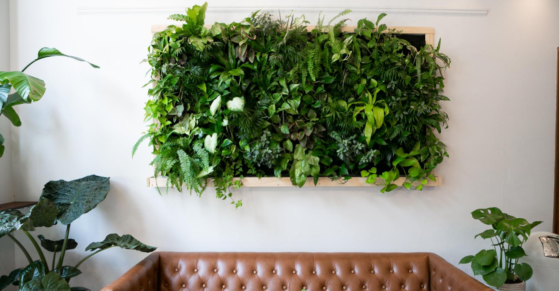 ''living wall'' in an apartment