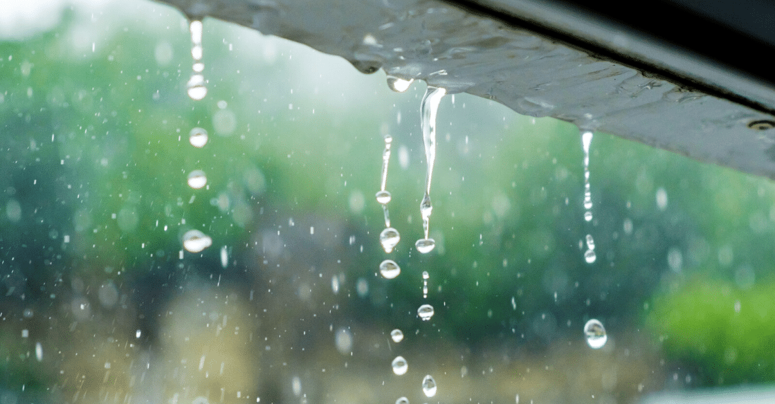 Weather proof your windows to protect from water damage