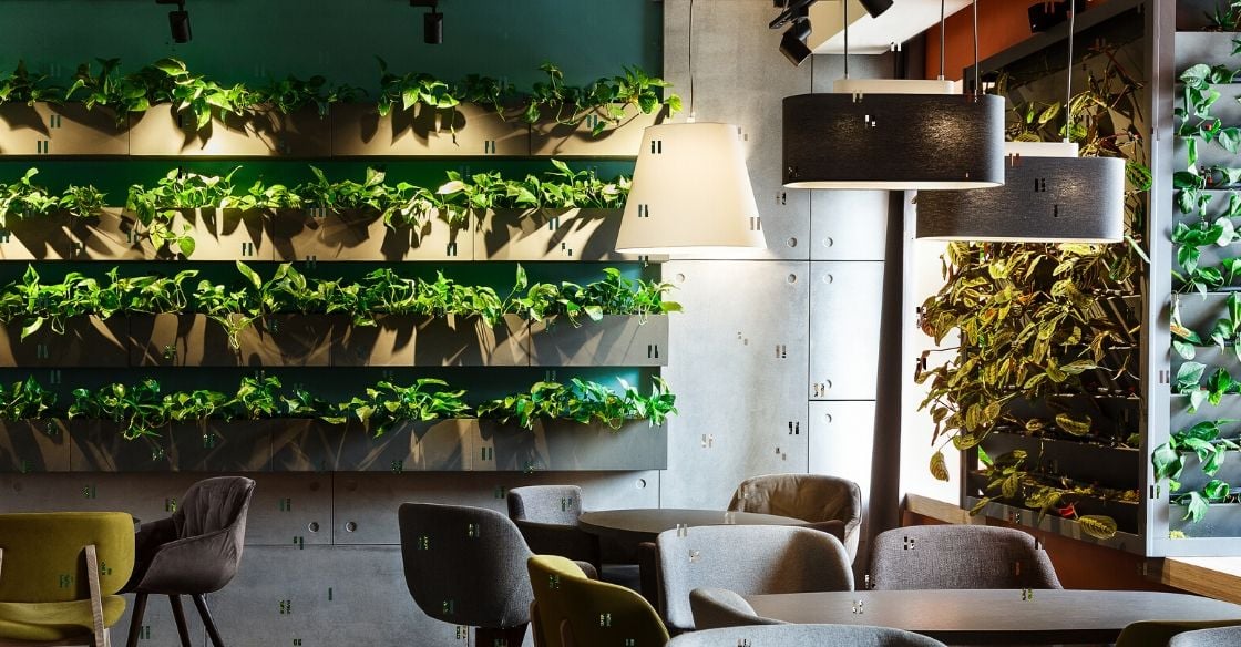 restaurant with lots of indoor plants