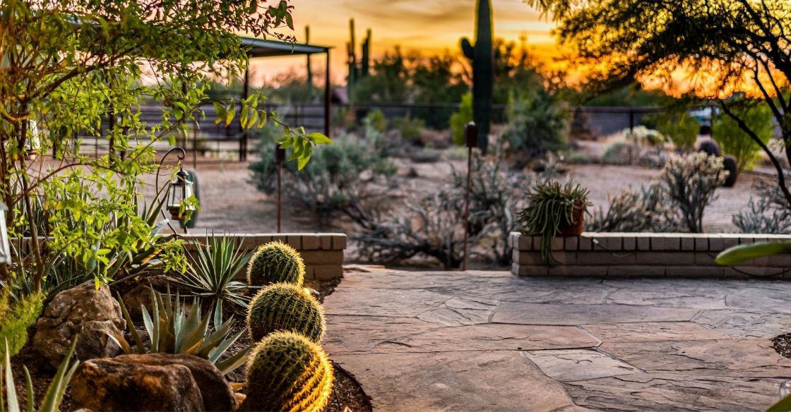 Backyard landscaping in Nevada