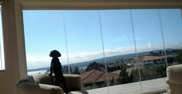 views frameless glass