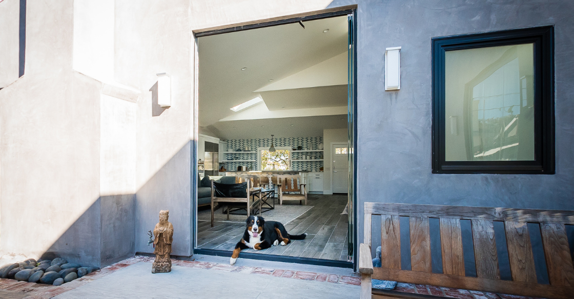 Dog sitting in the open patio doorway