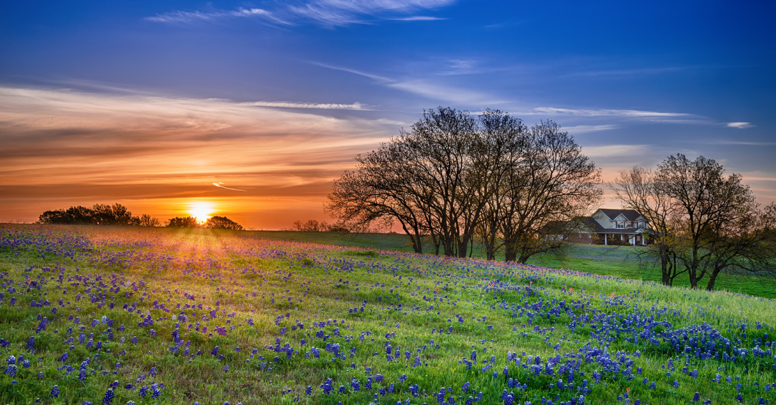 View of Texas landscape