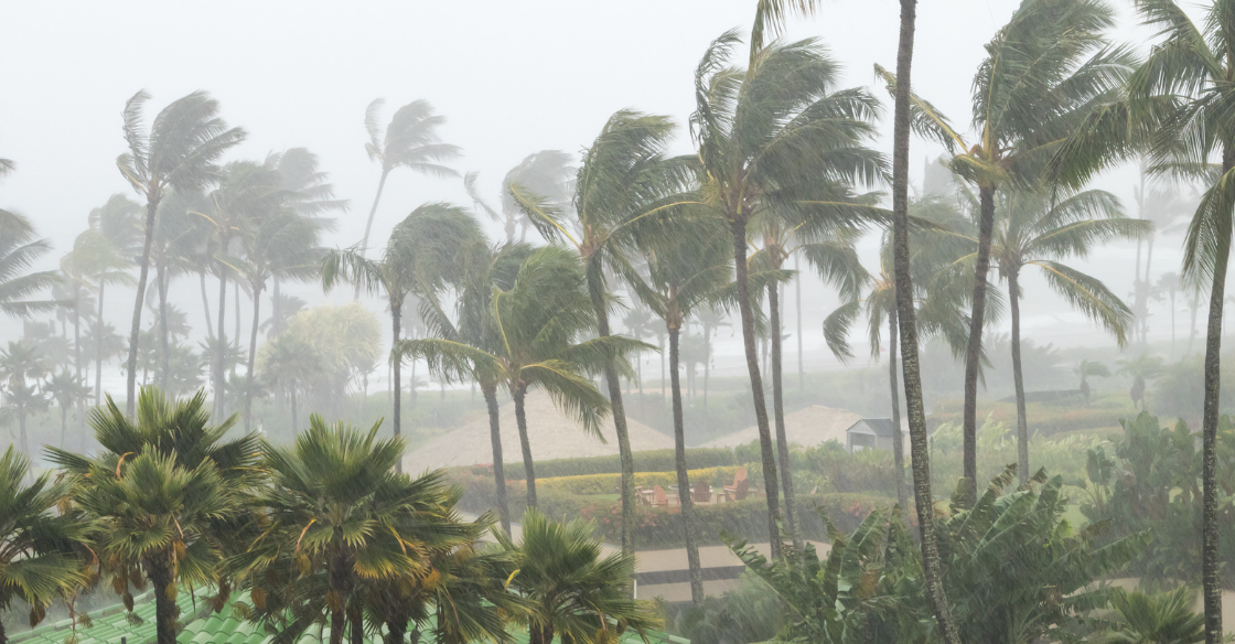 Hurricane