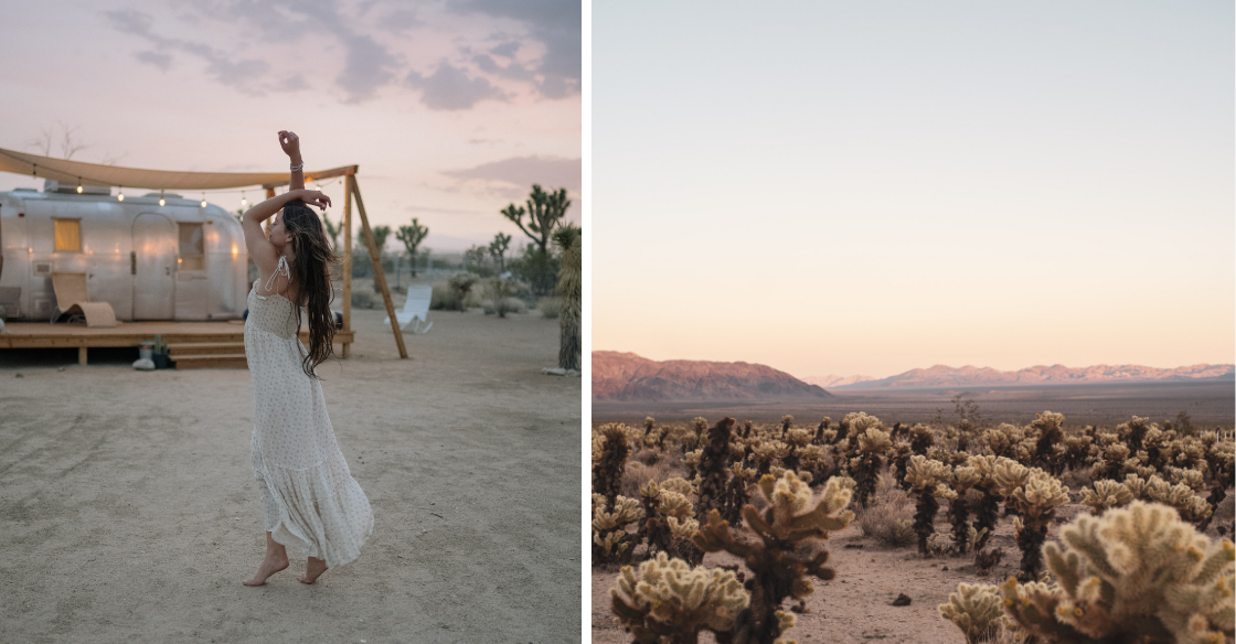 Joshua Tree National Park